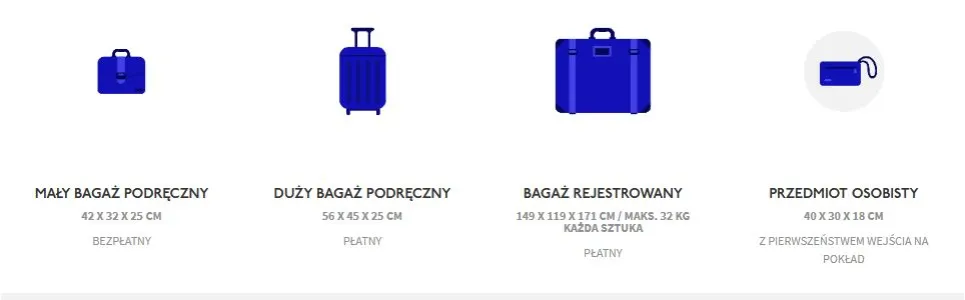 Zdjęcie Bagaż rejestrowany WizzAir - co można przewozić i czego unikać