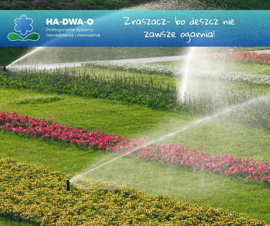 Zdjęcie Jaki zraszacz do ogrodu? Wybierz idealny model dla siebie