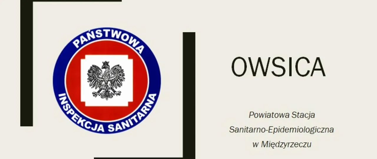 Zdjęcie Czy dziecko z owsikami może chodzić do przedszkola? Ważne informacje