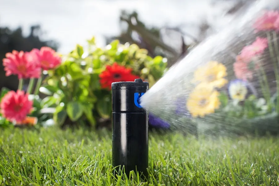 Zdjęcie Optymalne ciśnienie zraszaczy: Jakie jest idealne dla Twojego ogrodu?