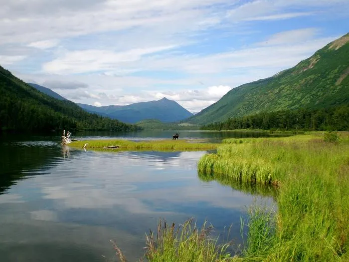 Zdjęcie Gdzie na ryby z noclegiem? Odkryj najlepsze miejsca na relaks i wędkowanie