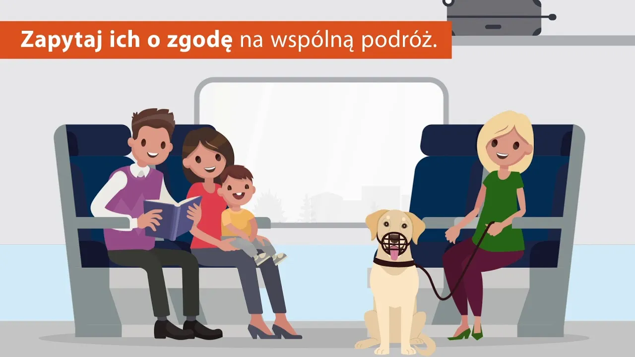 Zdjęcie Jak przewozić psa w pociągu - nie popełnij tych błędów w podróży