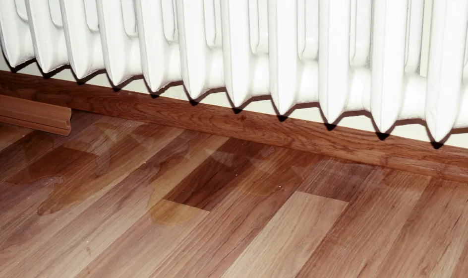 Zdjęcie Ile czasu na zgłoszenie zalania mieszkania? Nie przegap ważnych terminów