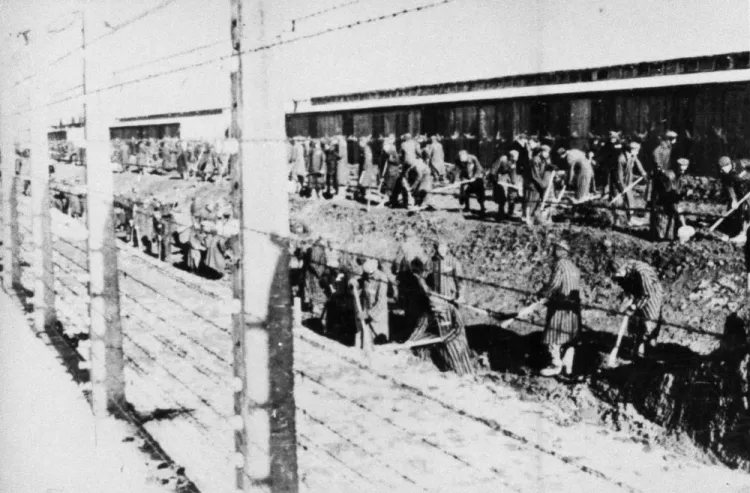 Zdjęcie Auschwitz-Birkenau w jakim kraju? Odkryj jego mroczną historię w Polsce