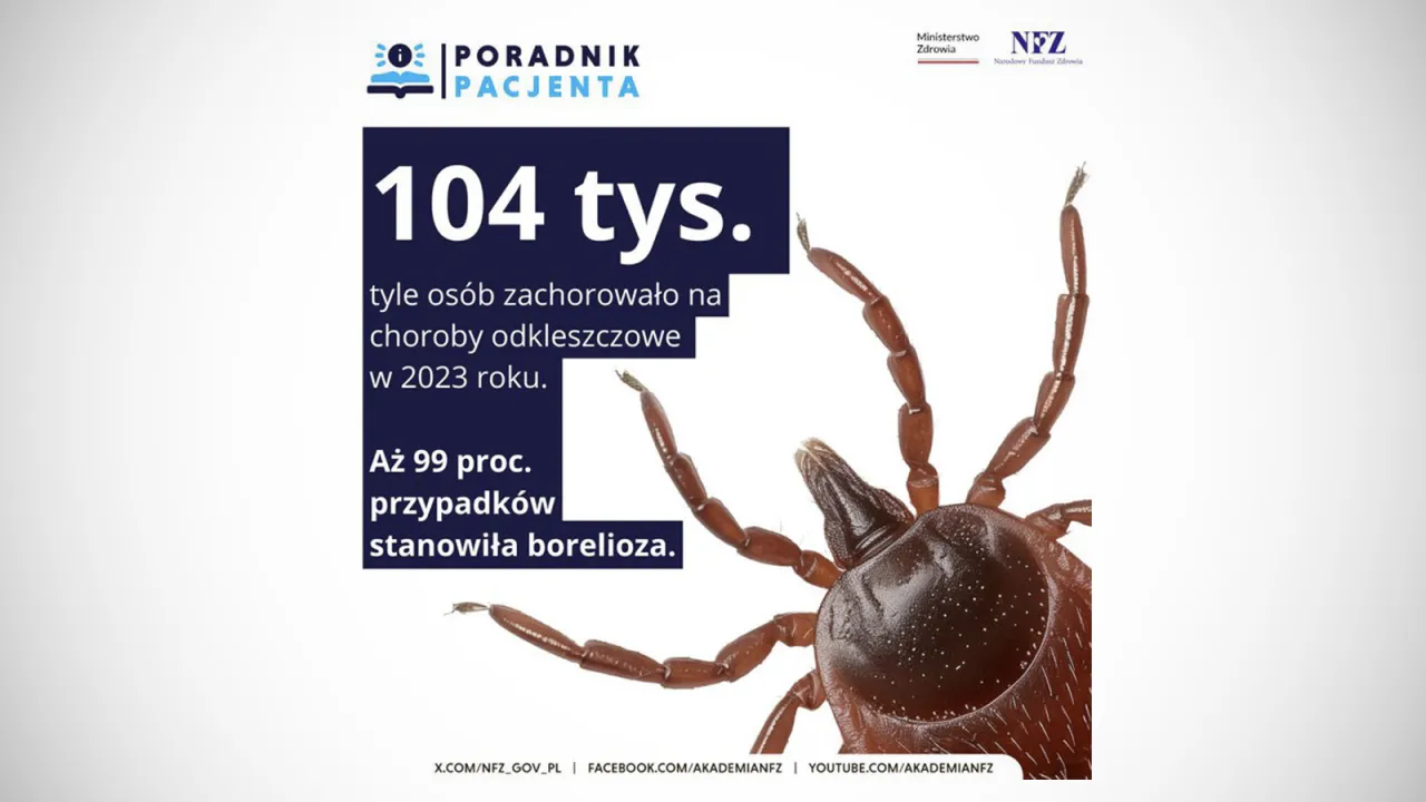 Zdjęcie Gdzie oddać kleszcza do badania i uniknąć poważnych chorób?