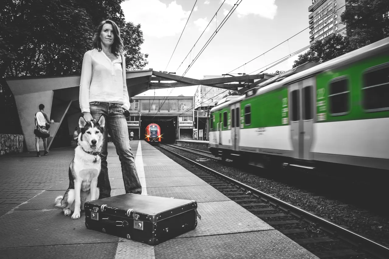 Zdjęcie Ile kosztuje bilet dla psa w pociągu? Sprawdź ceny i zasady