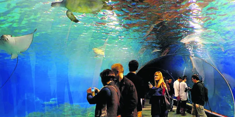 Zdjęcie Ile kosztuje bilet do oceanarium w Kołobrzegu? Ceny i zniżki
