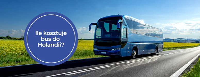 Zdjęcie Ile jedzie bus z Holandii do Polski? Czas podróży i ceny biletów