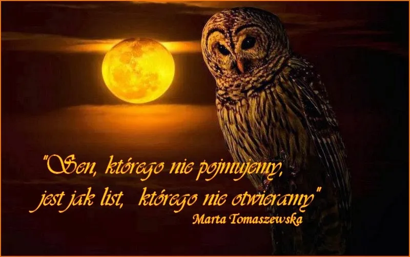 Zdjęcie Co oznacza sen o chłopaku? Interpretacja i symbolika marzeń sennych