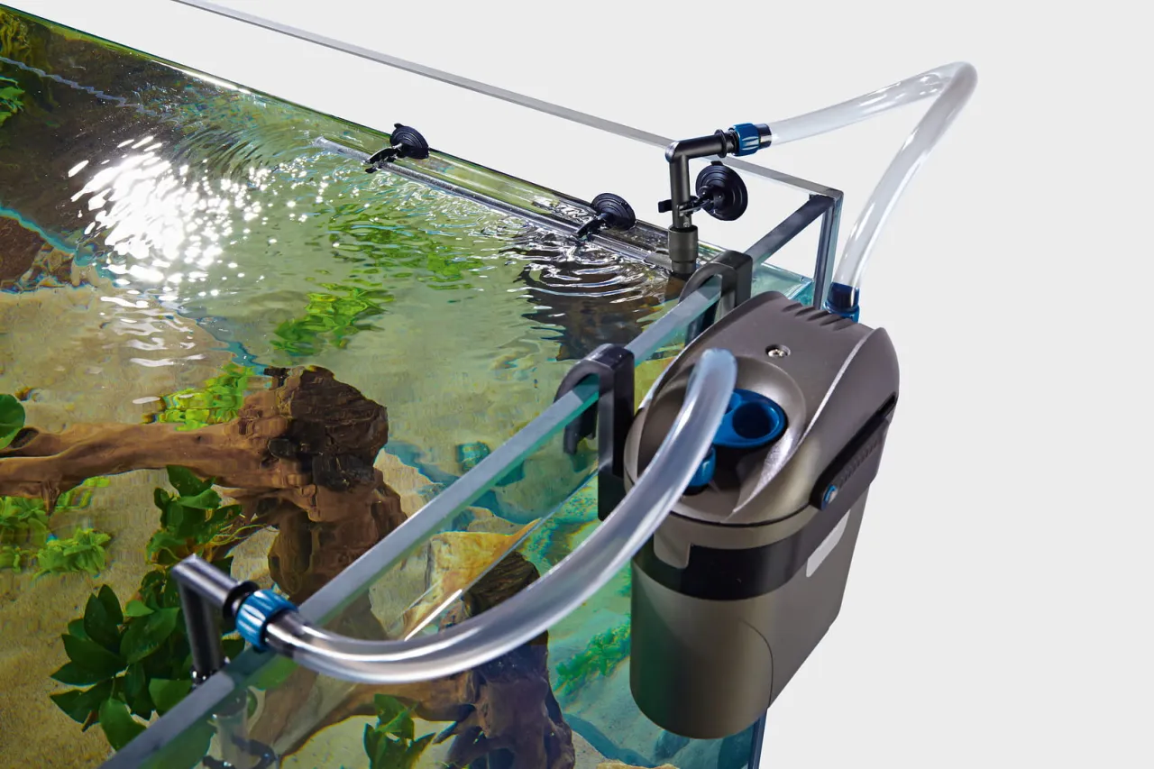 Zdjęcie Jak ustawić filtr zewnętrzny w akwarium, aby uniknąć problemów z czystością wody
