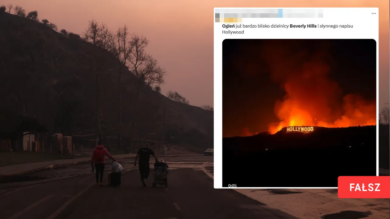 Zdjęcie W jakim stanie jest Hollywood? Zaskakujące fakty i aktualności