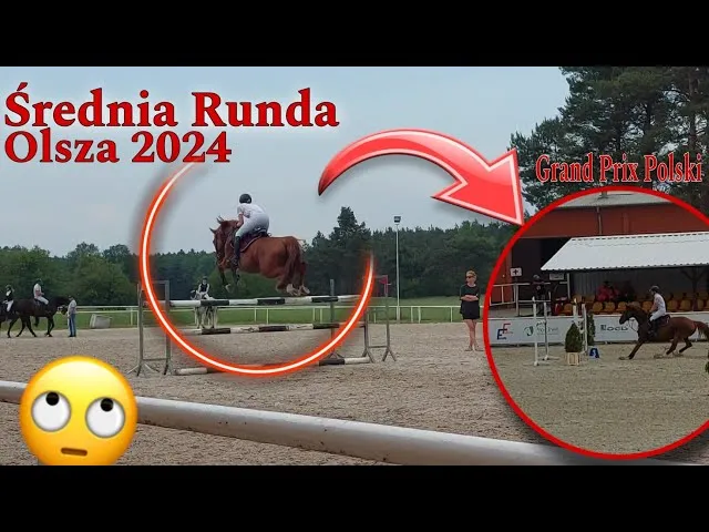 Zdjęcie Grand Prix jeździectwa: nadchodzące zawody, wyniki i emocje w sporcie