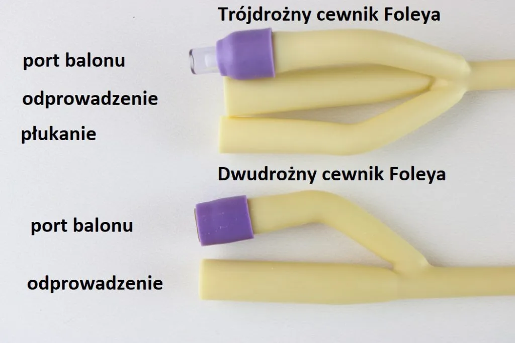 Zdjęcie Cewniki silikonowe: Jak dobrać idealny rozmiar? Nasz poradnik!