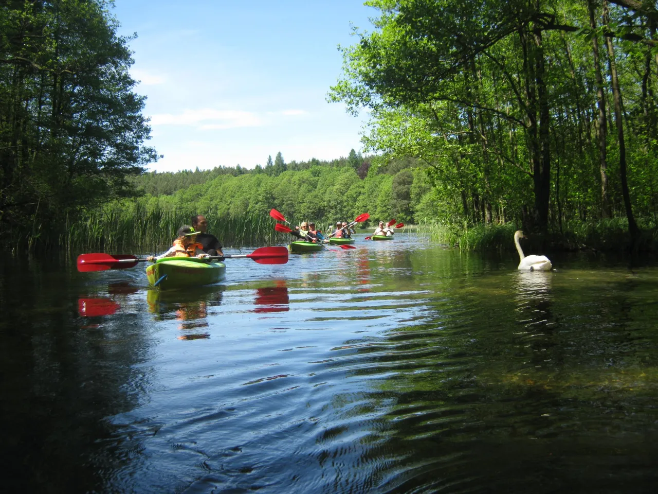 Zdjęcie Spływ kajakowy Koszalin: Przewodnik po trasach i organizatorach