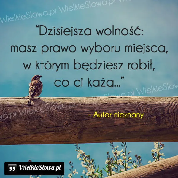 Zdjęcie Czym jest wolność? Inspirujące cytaty, które zmienią twoje myślenie