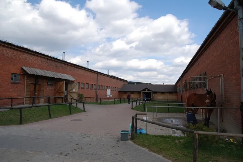 Zdjęcie Stadnina koni Kielce - idealne miejsce na naukę jazdy konnej