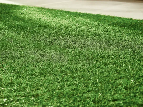 Zdjęcie Kiedy siać trawę? Wiosna czy jesień - poznaj najlepszy termin