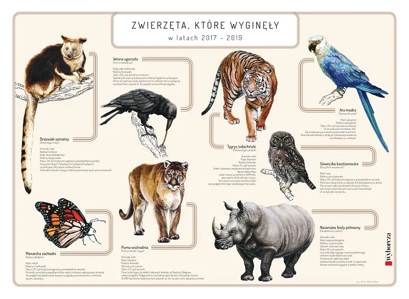Zdjęcie Zwierzęta które zostały gwiazdami kina: 10 niezapomnianych ról
