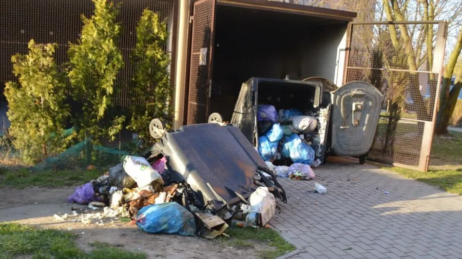 Zdjęcie Ile za śmieci w Łodzi? Nowe stawki, które mogą Cię zaskoczyć