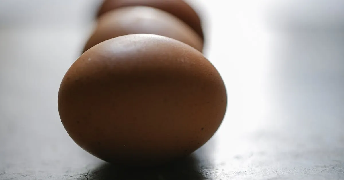 Zdjęcie Jak wybrać najlepszy proszek proteinowy? 5 kluczowych cech