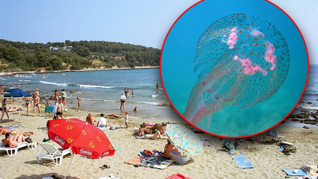 Zdjęcie Czy w Chorwacji jest bezpiecznie? Odkryj nieznane zagrożenia dla turystów