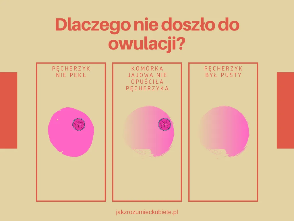Zdjęcie Kiedy pierwsza miesiączka po porodzie? Co musisz wiedzieć o cyklu menstruacyjnym