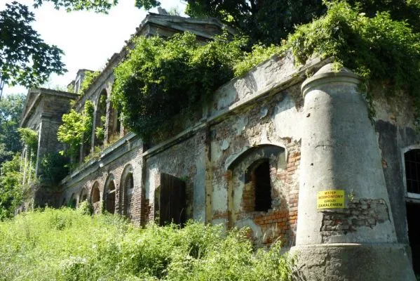 Zdjęcie Ruiny pałacu w Sławikowie – tajemnice i historia zapomnianego miejsca
