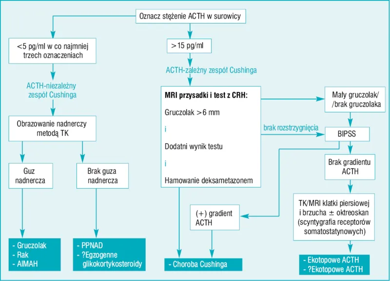 Zdjęcie Zespół Cushinga: Jakie badania diagnostyczne są niezbędne dla zdrowia?