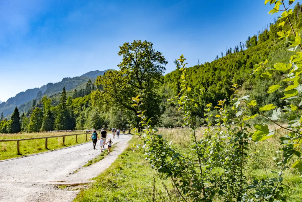 Zdjęcie Dolina Kościeliska z dzieckiem - najlepszy pomysł na pierwszą wycieczkę w Tatry