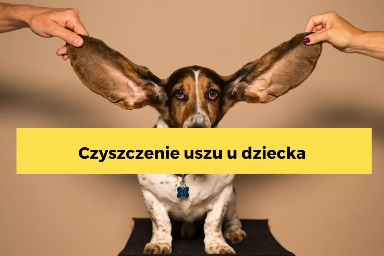 Zdjęcie Czy można moczyć uszy niemowlakowi? Bezpieczna kąpiel malucha