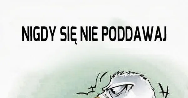 Zdjęcie Memy nigdy się nie poddawaj – inspiracja i motywacja w obrazkach