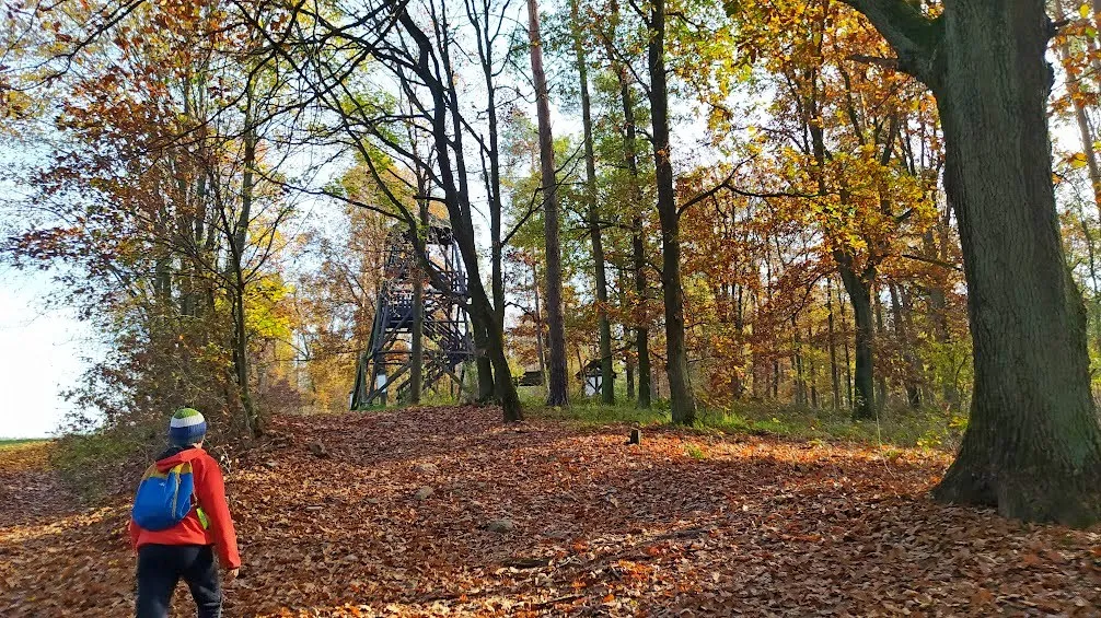 Zdjęcie Boszkowo atrakcje: odkryj najpiękniejsze miejsca na aktywny wypoczynek