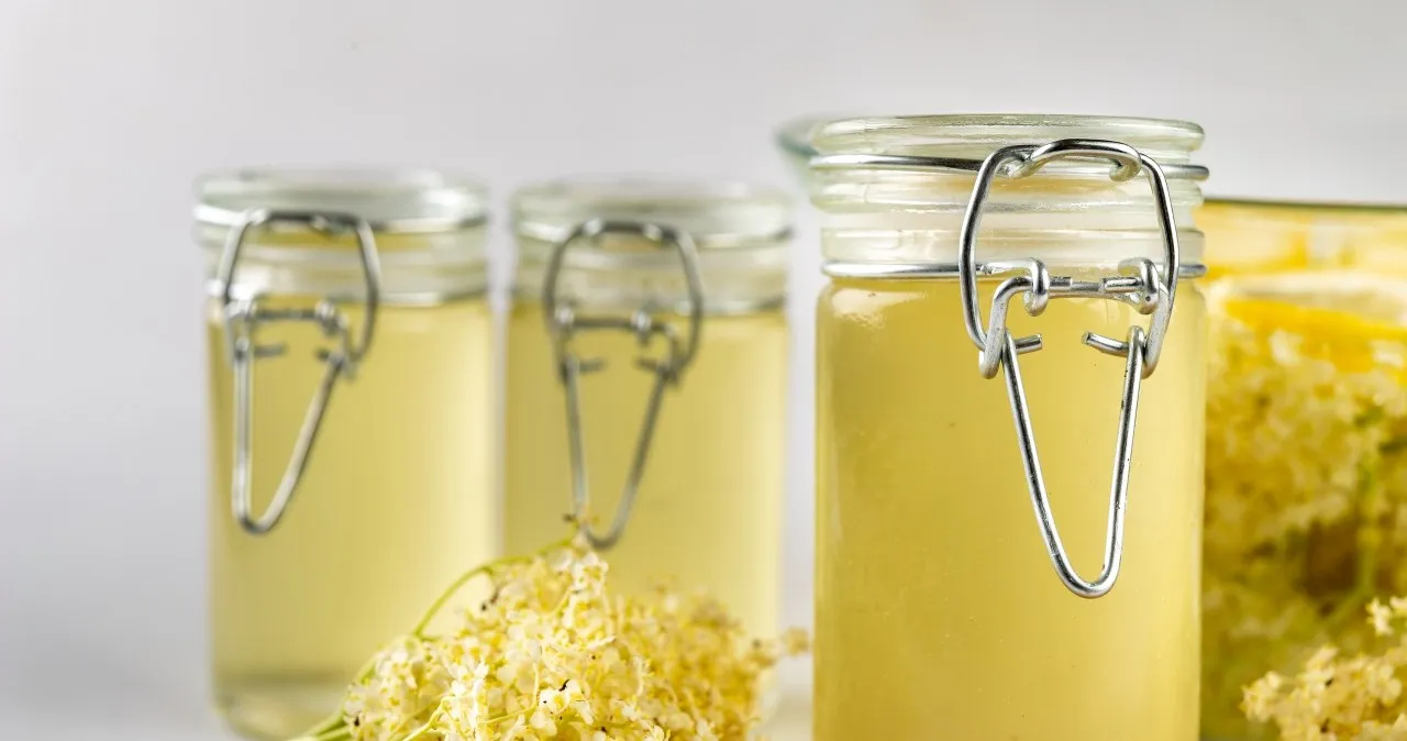 Zdjęcie Jak stosować sok z czarnego bzu, aby wzmocnić zdrowie i odporność