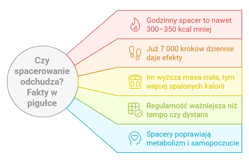 Zdjęcie Ile kalorii spala 30 minut spaceru? Odkryj zaskakujące wyniki!