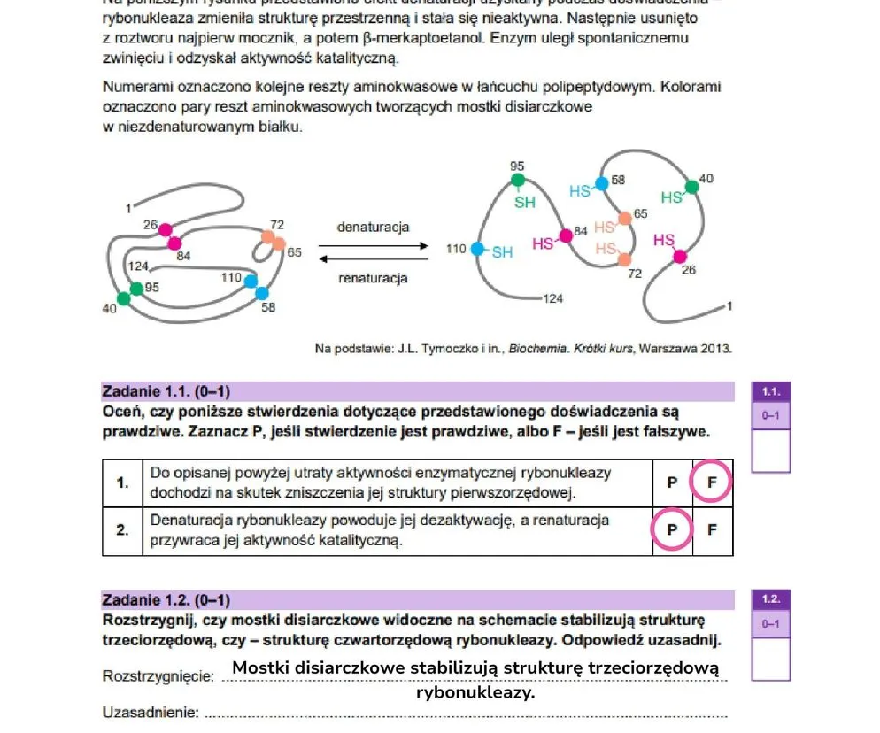 Zdjęcie Co jest najczęściej na maturze z biologii rozszerzonej? Kluczowe tematy i pytania