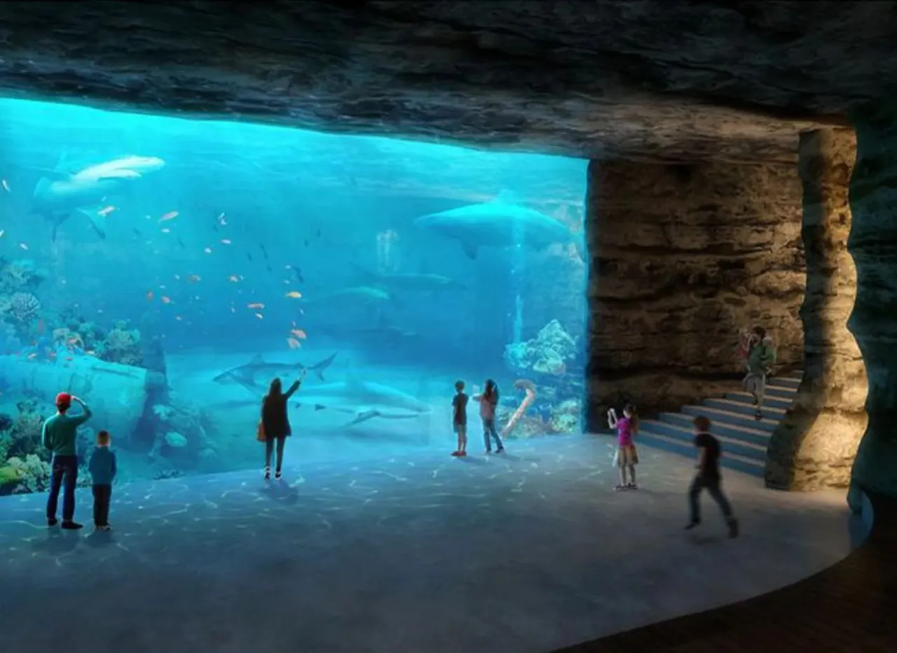 Zdjęcie Oceanarium w Łodzi - odkryj fascynujący świat podwodnych stworzeń