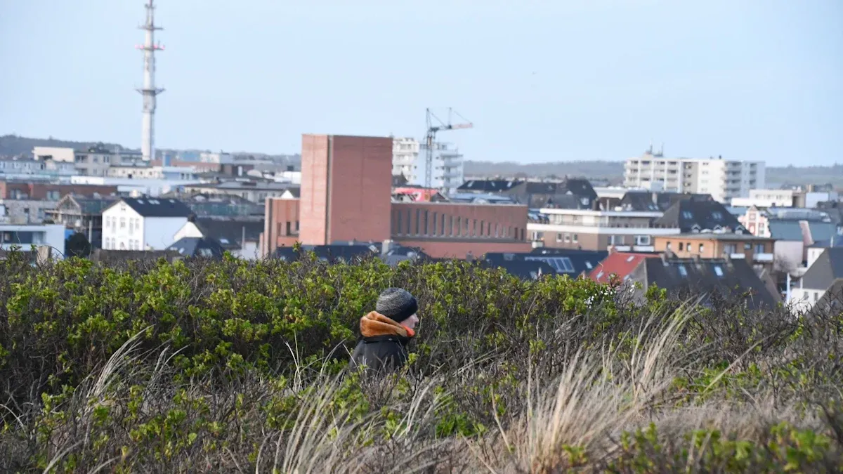 Zdjęcie Wie viel kostet auf Sylt ein Quadratmeter Wohnfläche im Schnitt?
