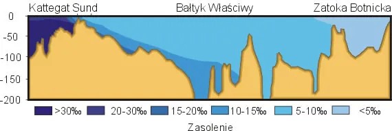 Zdjęcie Jakie jest zasolenie Bałtyku? Zaskakujące różnice w jego wartościach