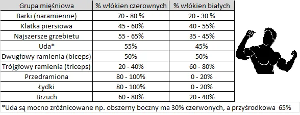 Zdjęcie Ile razy w tygodniu ćwiczyć daną partię mięśni, aby uniknąć przetrenowania?