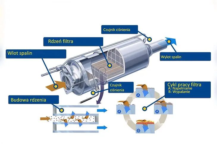 Zdjęcie Budowa filtru cząstek stałych DPF - poznaj kluczowe elementy systemu wydechowego