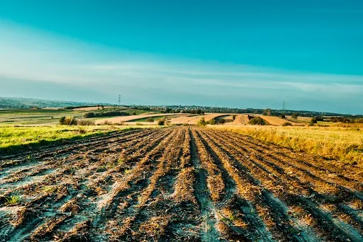 Zdjęcie Ile kosztuje metr działki rolnej? Sprawdź ceny w różnych regionach