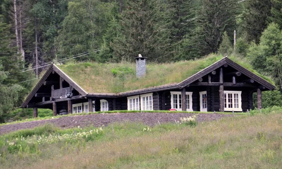 Zdjęcie Jak zrobić trawę na dachu - uniknij najczęstszych błędów i kosztów