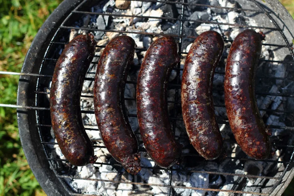 Zdjęcie Jak zawinąć kaszankę na grilla, by uniknąć pęknięć i zachować smak
