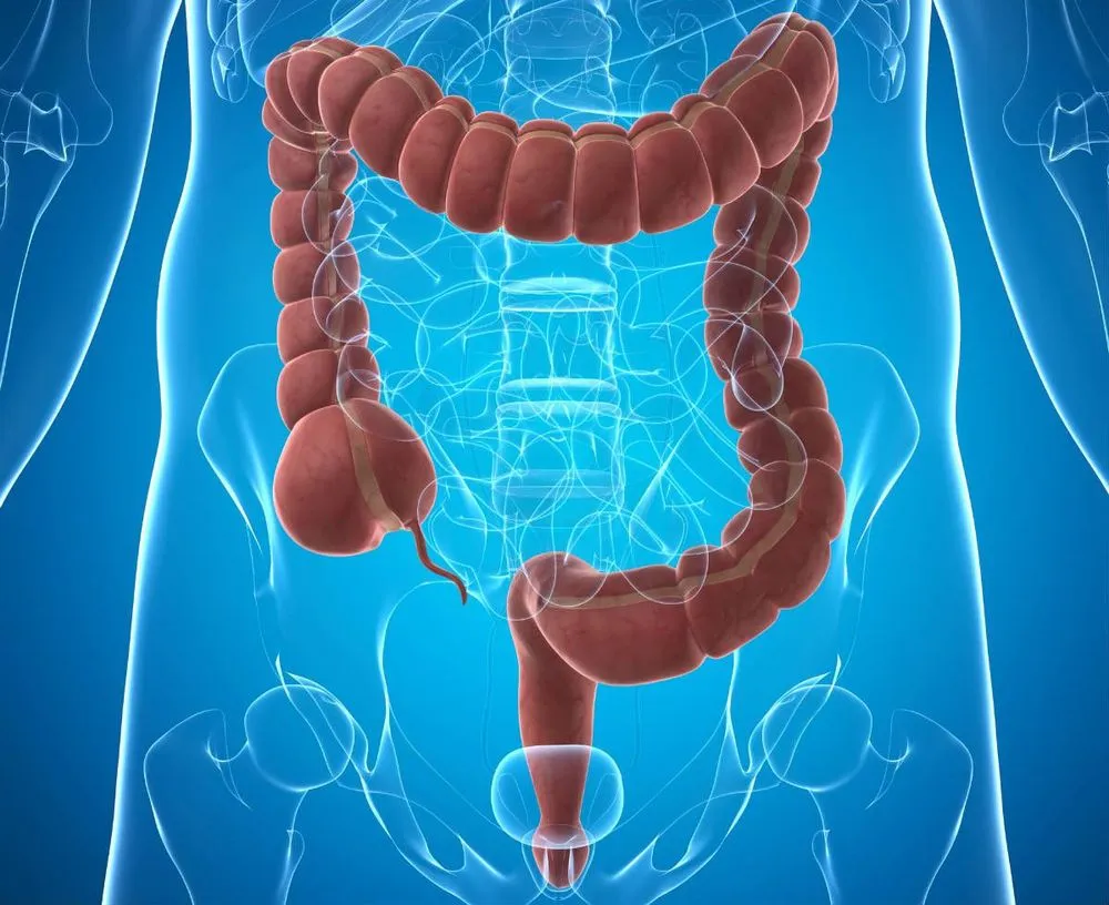 Zdjęcie Jakie leki na wrzodziejące zapalenie jelita grubego pomogą Ci w walce z chorobą?
