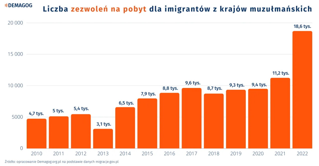 Zdjęcie Imigranci w Polsce: z jakich krajów przyjeżdżają i dlaczego to ważne