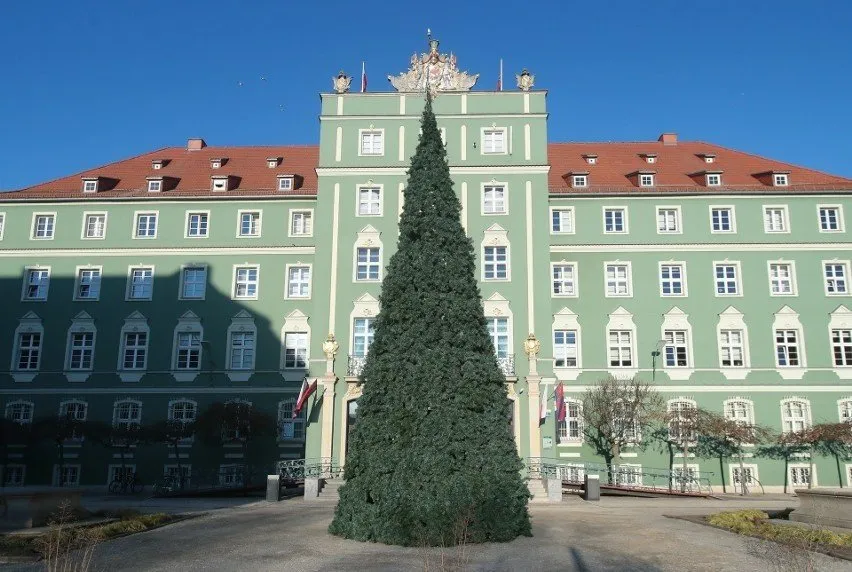 Zdjęcie Kto jest prezydentem Szczecina? Odkryj jego osiągnięcia i plany