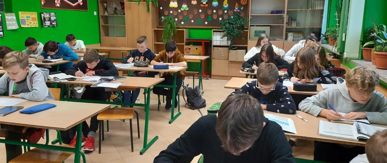 Zdjęcie Zajęcia wyrównawcze z języka polskiego klasa 8 - popraw swoje umiejętności