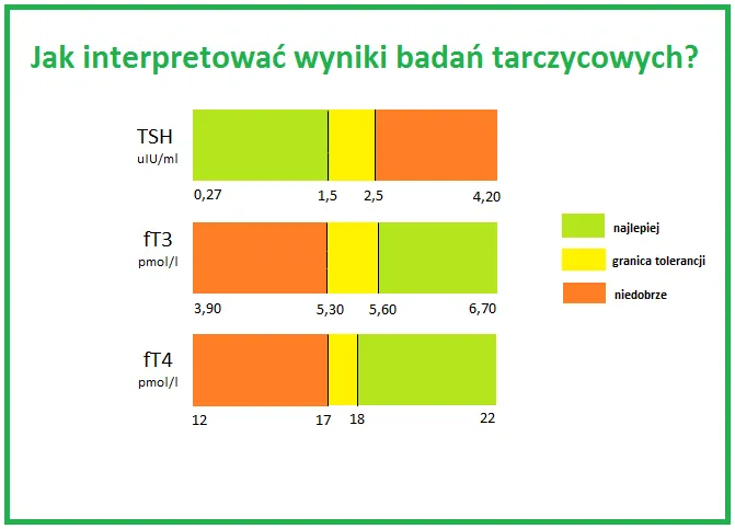 Zdjęcie Kalkulator funkcji tarczycy - samodzielna analiza wyników badań online