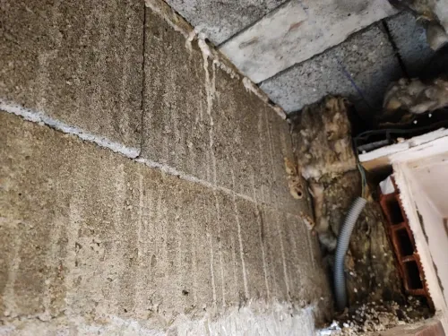 Zdjęcie Comment isoler un mur en pierre humide et éviter des dégâts coûteux