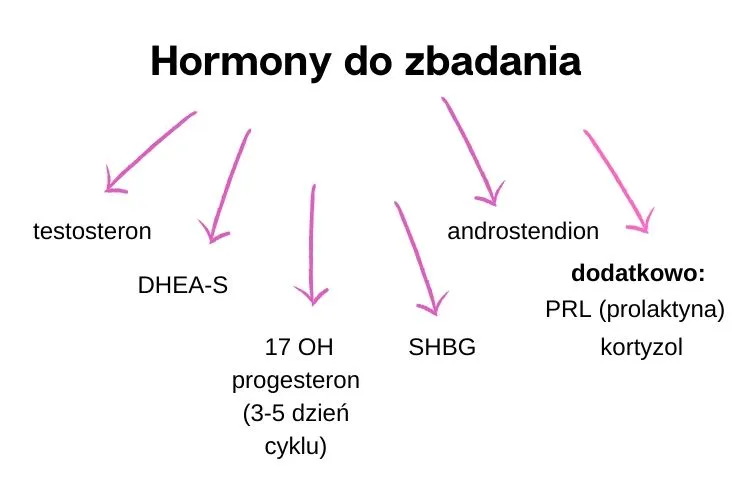 Zdjęcie Podwyższony poziom androstendionu: objawy, przyczyny i skutki zdrowotne